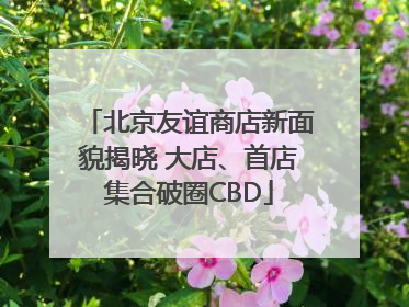 北京友谊商店新面貌揭晓 大店、首店集合破圈CBD
