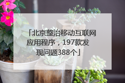 北京整治移动互联网应用程序，197款发现问题388个