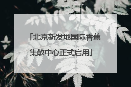 北京新发地国际香蕉集散中心正式启用
