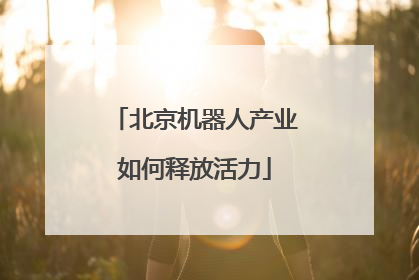北京机器人产业如何释放活力