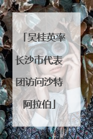 吴桂英率长沙市代表团访问沙特阿拉伯