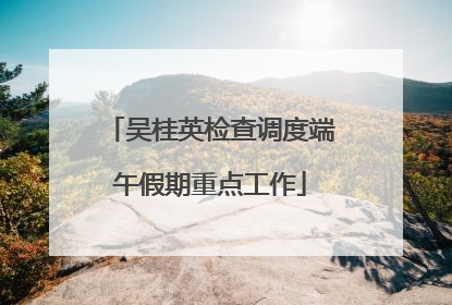 吴桂英检查调度端午假期重点工作