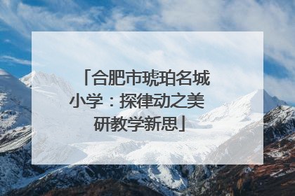 合肥市琥珀名城小学：探律动之美 研教学新思