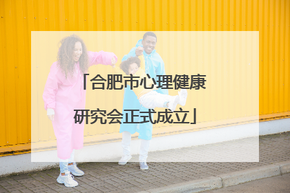 合肥市心理健康研究会正式成立