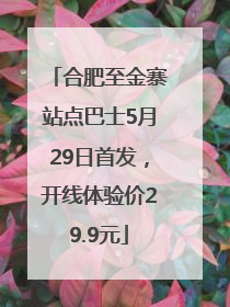 合肥至金寨站点巴士5月29日首发，开线体验价29.9元