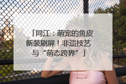 同江：萌宠的鱼皮新装刷屏！非遗技艺与“萌态跨界”