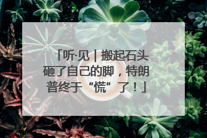听·见｜搬起石头砸了自己的脚，特朗普终于“慌”了！