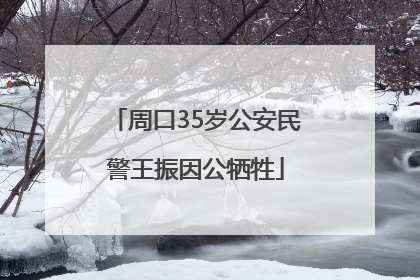 周口35岁公安民警王振因公牺牲
