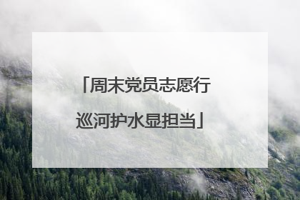 周末党员志愿行 巡河护水显担当