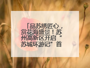 品苏绣匠心，赏花海盛景！苏州高新区开启“苏城环游记”首条非遗主题游