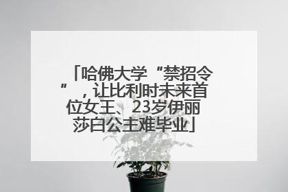 哈佛大学“禁招令”，让比利时未来首位女王、23岁伊丽莎白公主难毕业