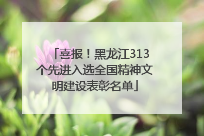 喜报！黑龙江313个先进入选全国精神文明建设表彰名单