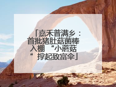嘉禾普满乡：首批猪肚菇菌棒入棚 “小蘑菇”撑起致富伞