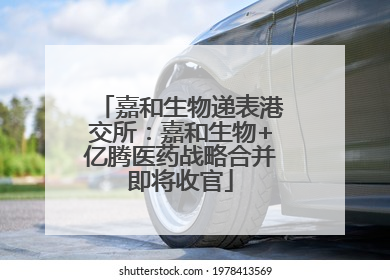 嘉和生物递表港交所：嘉和生物+亿腾医药战略合并即将收官
