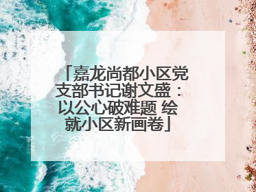 嘉龙尚都小区党支部书记谢文盛：以公心破难题 绘就小区新画卷