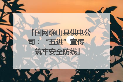 国网确山县供电公司：“五进”宣传 筑牢安全防线