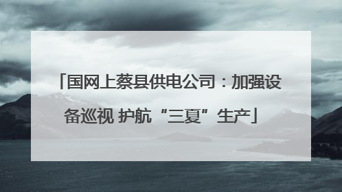 国网上蔡县供电公司：加强设备巡视 护航“三夏”生产