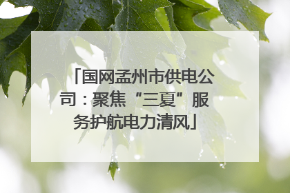 国网孟州市供电公司：聚焦“三夏”服务护航电力清风