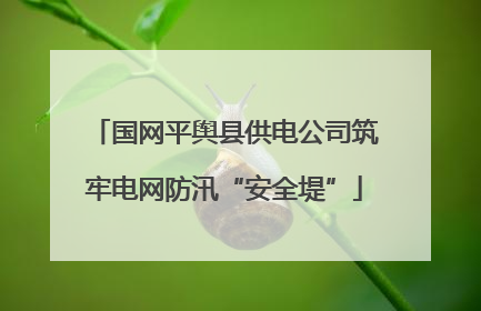 国网平舆县供电公司筑牢电网防汛“安全堤”