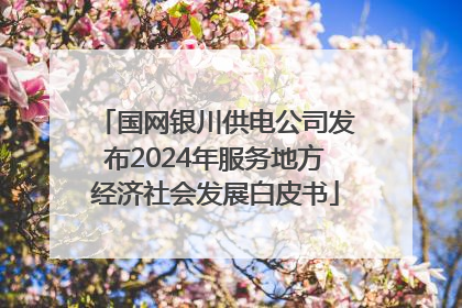 国网银川供电公司发布2024年服务地方经济社会发展白皮书
