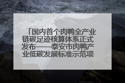 国内首个肉鸭全产业链碳足迹核算体系正式发布——泰安市肉鸭产业低碳发展标准示范项目顺利通过验收