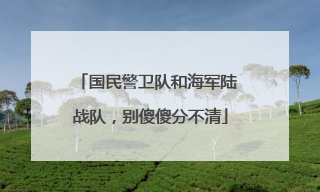 国民警卫队和海军陆战队，别傻傻分不清