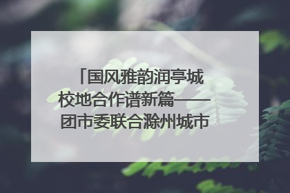 国风雅韵润亭城 校地合作谱新篇——团市委联合滁州城市职业学院助力传统文化“破圈”绽放