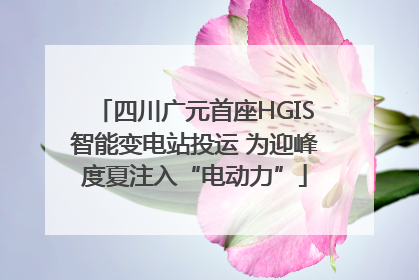 四川广元首座HGIS智能变电站投运 为迎峰度夏注入“电动力”