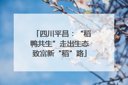 四川平昌：“稻鸭共生”走出生态致富新“稻”路