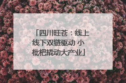 四川旺苍：线上线下双链驱动 小枇杷撬动大产业