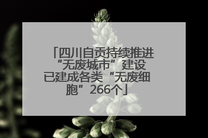 四川自贡持续推进“无废城市”建设 已建成各类“无废细胞”266个