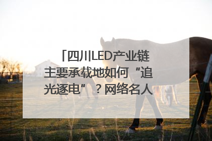 四川LED产业链主要承载地如何“追光逐电”？网络名人走进攀枝花找答案｜网络名人四川行