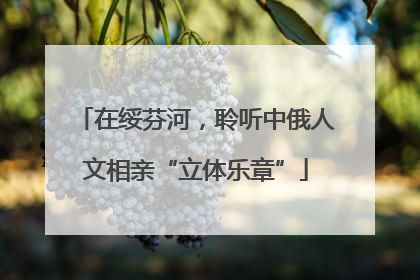 在绥芬河，聆听中俄人文相亲“立体乐章”