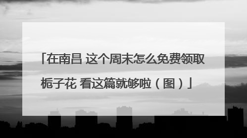 在南昌 这个周末怎么免费领取栀子花 看这篇就够啦（图）