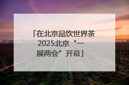 在北京品饮世界茶 2025北京“一展两会”开幕