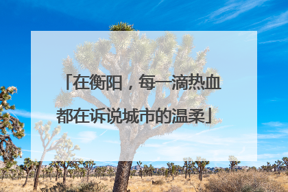 在衡阳，每一滴热血都在诉说城市的温柔
