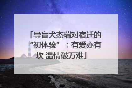 导盲犬杰瑞对宿迁的“初体验”：有爱亦有坎 温情破万难