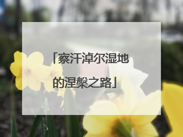 察汗淖尔湿地的涅槃之路