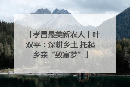 孝昌最美新农人丨叶双平：深耕乡土 托起乡亲“致富梦”