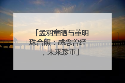 孟羽童晒与董明珠合照：感念曾经，未来珍重