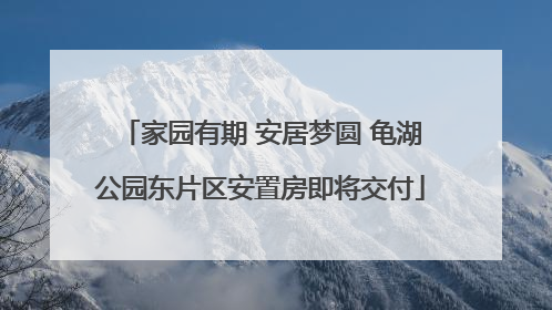 家园有期 安居梦圆 龟湖公园东片区安置房即将交付