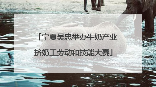 宁夏吴忠举办牛奶产业挤奶工劳动和技能大赛