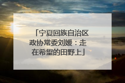 宁夏回族自治区政协常委刘媛：走在希望的田野上