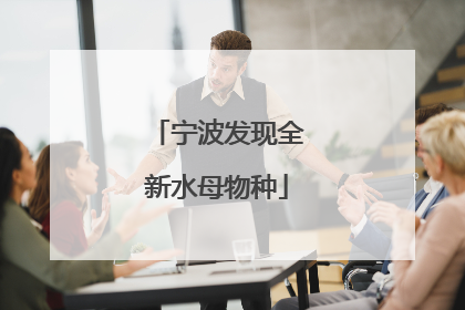 宁波发现全新水母物种