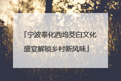 宁波奉化西坞茭白文化盛宴解锁乡村新风味