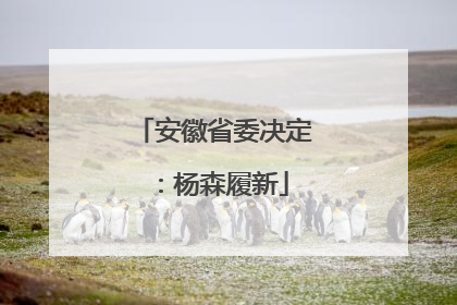 安徽省委决定：杨森履新