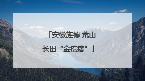 安徽旌德 荒山长出“金疙瘩”