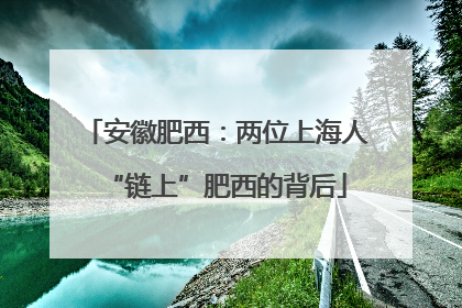 安徽肥西：两位上海人“链上”肥西的背后