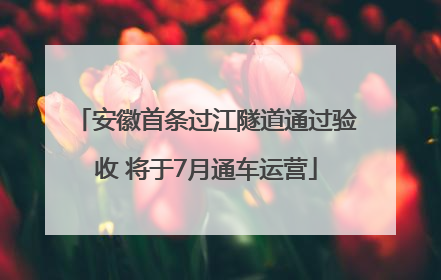 安徽首条过江隧道通过验收 将于7月通车运营