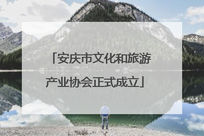 安庆市文化和旅游产业协会正式成立